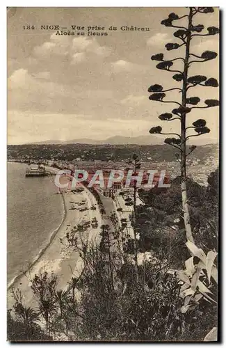 Ansichtskarte AK Nice vue prise du Chateau Aloes en fleurs