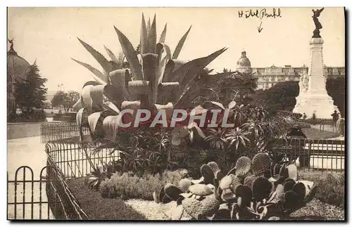 Cartes postales Nice Jardin Albert 1er