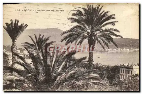 Cartes postales Nice Vu entre les Palmiers