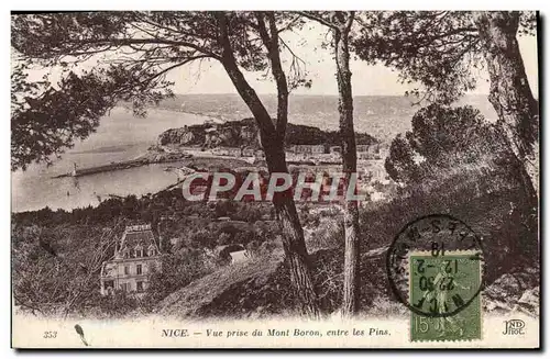 Cartes postales Nice Vue prise du Mont Boron entre les Pins