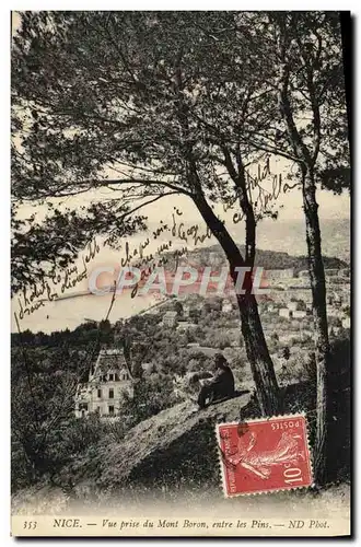 Cartes postales Nice Vue prise du Mont Boron entre les Pins