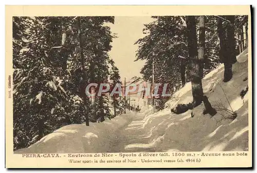 Cartes postales Peira Cava Environs de Nice Sports d&#39Hiver Avenue sous bois