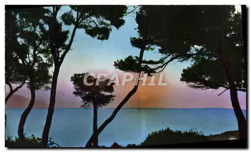 Cartes postales moderne Cap Martin Un Jour qui se Leve