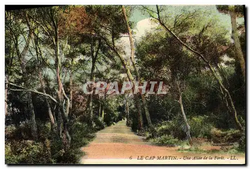 Ansichtskarte AK Le Cap Martin Une Allee de la Foret