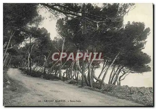 Ansichtskarte AK Cap Martin Sous Bois