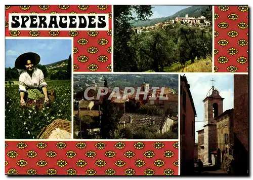 Cartes postales moderne Speracedes