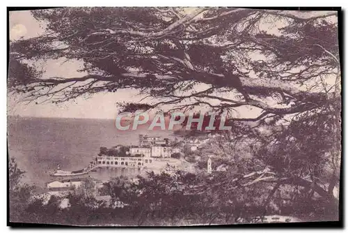 Cartes postales Saint Jean Cap Ferrat Le port