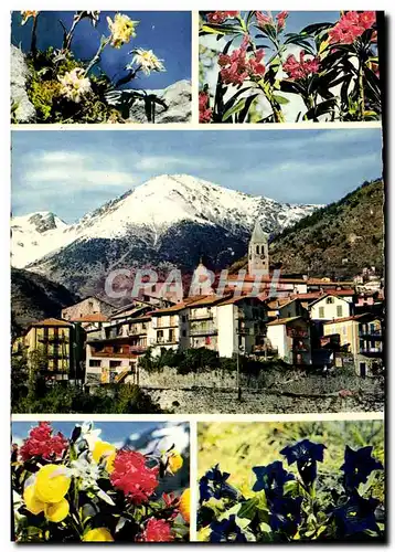 Cartes postales moderne Saint Martin Vesubie Vue Generale station estivale