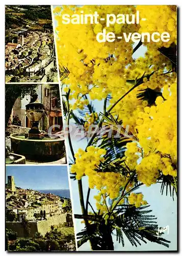 Cartes postales moderne Saint Paul Cote d'Azur French Riviera
