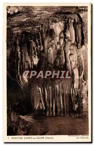 Cartes postales Arcy Sur Cury Grottes La pieuvre