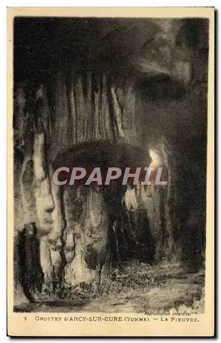 Cartes postales Arcy Sur Cury Grottes La pieuvre