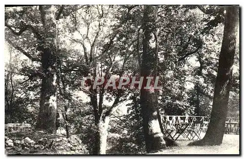 Cartes postales Arcy Sur Cury Les Terrasses Vues de L'Entree des Grottes