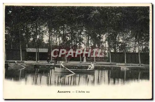 Cartes postales Auxerre L&#39Arbre Sec