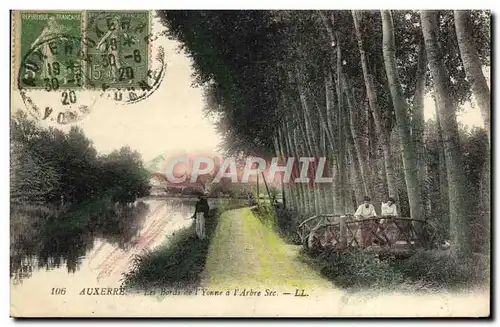 Cartes postales Auxerre Les bords de l&#39Yonne a l&#39arbre sec