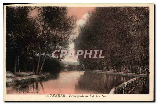 Cartes postales Auxerre Promenade de L'Arbre Sec