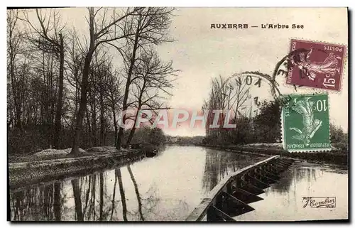 Cartes postales Auxerre L'Arbre Sec