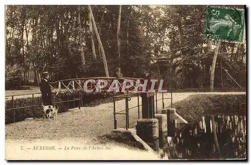 Cartes postales Auxerre Le Parc de l&#39Arbre Sec