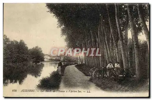 Cartes postales Auxerre Les Bords De l&#39Yonne A l&#39Arbre Sec