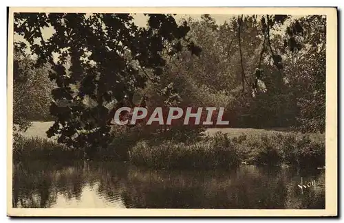 Cartes postales Avallon Ombrages Au Bord Du Cousin