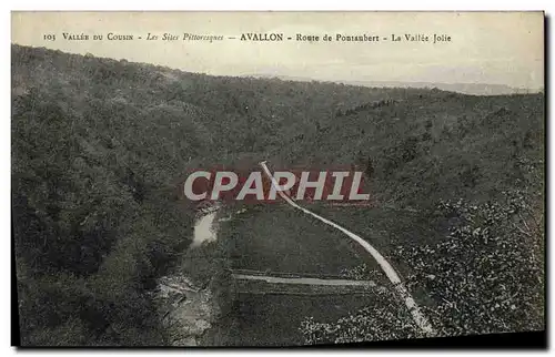 Ansichtskarte AK Avallon Route De Pontaubert La Vallee Jolie Vallee du Cousin