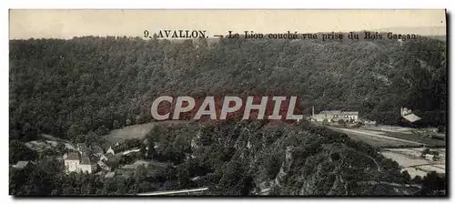 Cartes postales Avallon Le Lion Couche Vue Prise Du Bois Gargan