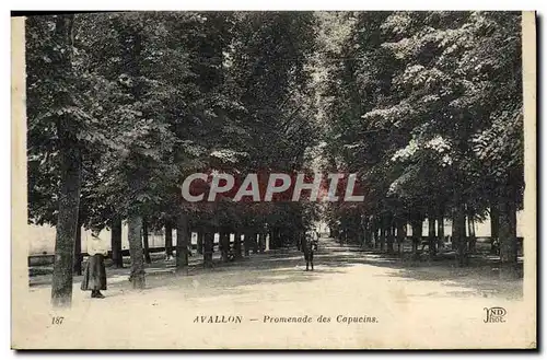 Ansichtskarte AK Avallon Promenade Des Capucins