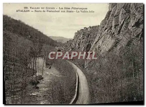 Cartes postales Avallon Route De Pontaubert Aux Ruats La Vallee Jolie