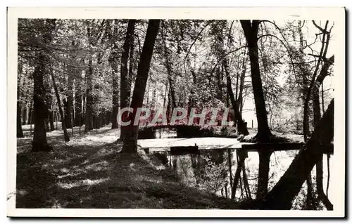 Cartes postales moderne Bleneau Le Chateau Le Parc