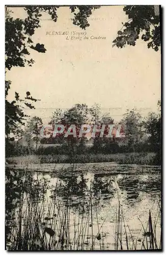 Cartes postales Bleneau L&#39Etang Du Coudray