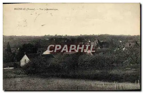 Cartes postales Bleneau Vue Panoramique