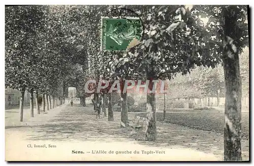 Ansichtskarte AK Sens L&#39Allee de gauche du Tapls Vert