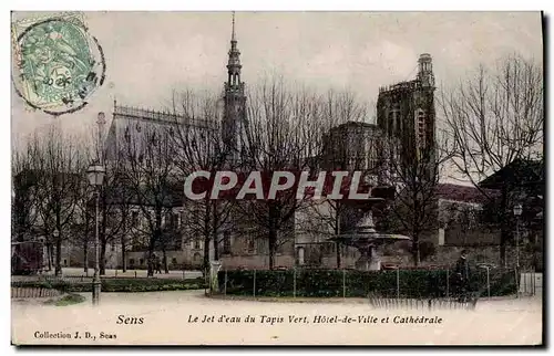 Cartes postales Sens Le Jet d'eau Tapis Vert Hotel de Ville et Cathedrale