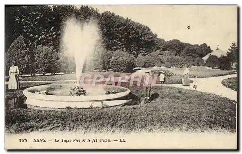 Cartes postales Sens Le Tapis Vert et le Jet d'Eau