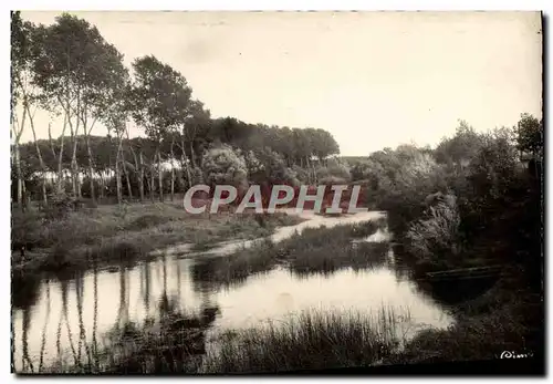 Cartes postales moderne Tonnerre Bords De l'Armancon