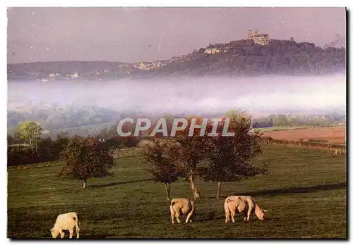 Cartes postales moderne Vezelay La Campagne au petit matin Vaches