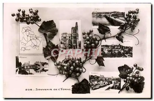 Cartes postales Souvenir De l'Yonne