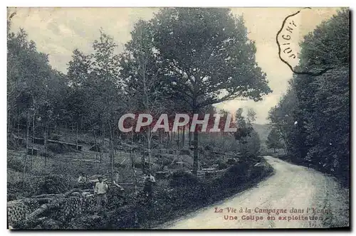 Cartes postales La Vie A La Campagne Dans L'Yonne Une Coupe En exploitation