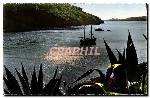 Cartes postales moderne Cote d&#39Azur Contre Jour Sur Les Iles d&#39Or