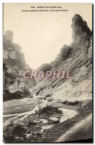 Cartes postales Gorge Du Cians Critace superieur Senonien a Micraster Gibbus