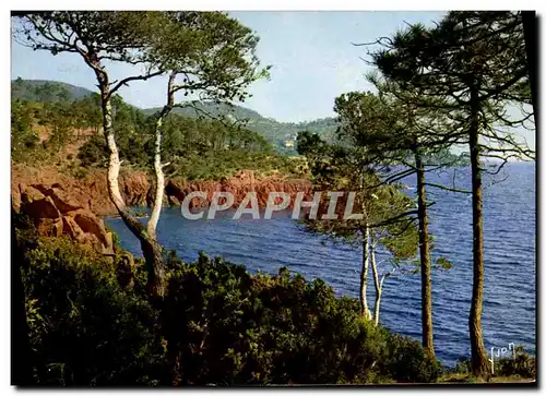 Cartes postales Couleurs Et Lumiere De France La Cote d&#39Azur Miracle De La Nature Massif De L&#39Esterel