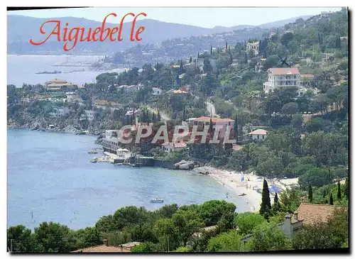 Cartes postales moderne Le Lavandou La Plage d'Aiguebelle