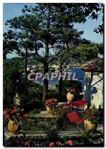Cartes postales moderne la Cote d'Azur Un Jardin Provencal Avec Ses Pins Et La Mer