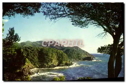 Cartes postales moderne Lumiere Et Beaute De La Cote D'Azur Falaises Tourmentees Du Cap Sicie Perspective sur Notre D