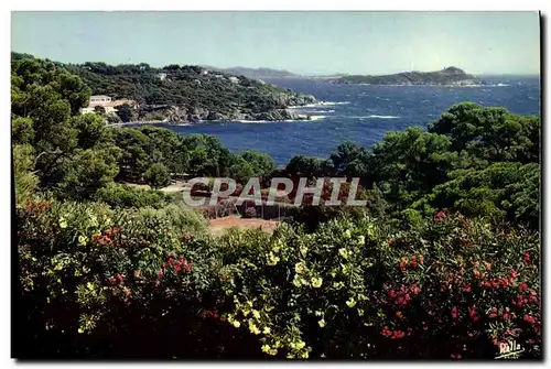 Cartes postales moderne La Cote d&#39Azur un Bord De Mer Typique