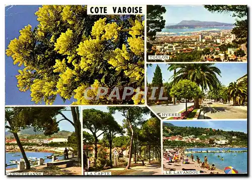 Cartes postales moderne Souvenir De La Cote Varoise Toulon Carquetranne La CApte Le Lavandou