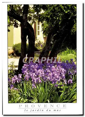 Cartes postales moderne Provence Le Jardin Du Mas