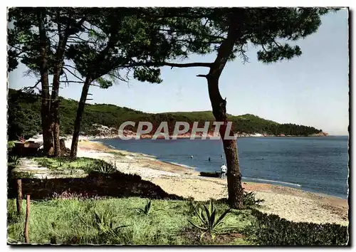 Cartes postales moderne Cote D'Azur Gigaro Plage Au Fond Le Cap Lardier