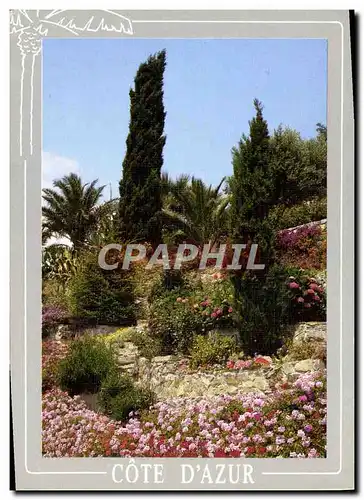 Cartes postales moderne Cote d&#39Azur Jardins fleuris