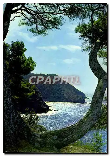 Cartes postales moderne Lumiere Et Beaute De La Mediterranee