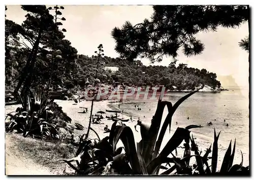 Cartes postales moderne La Cote Des Maures Le Canadel La Plage